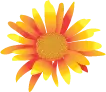 Ken's Floral